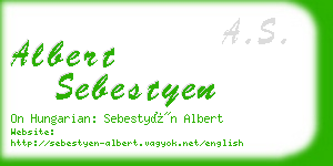 albert sebestyen business card